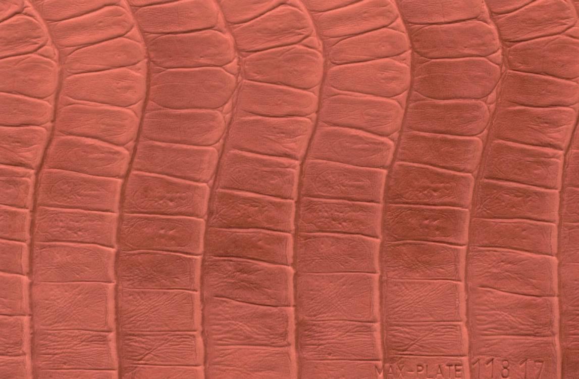 Assumenda accus antium
